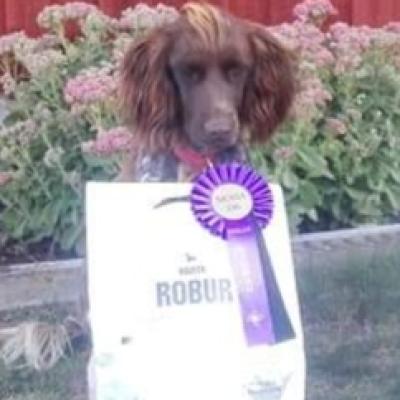 Bella Rallylydnad
